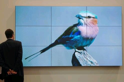 Digital Sigange zum Piepen? (Foto: DSX)