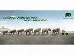 Dickhäuter auf dem Rollfeld (Foto: Zoo Köln)