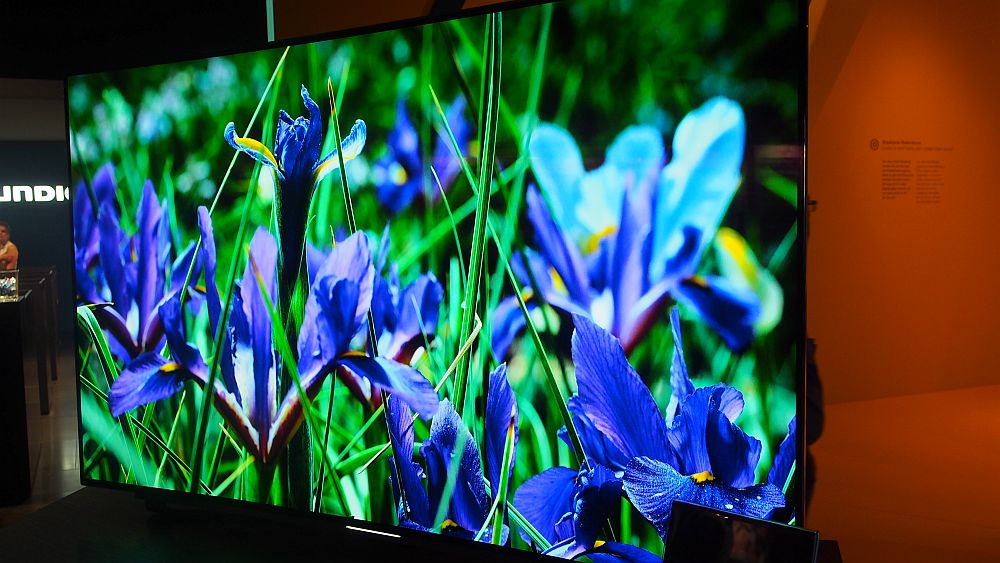 OLED-TV von Grundig (Foto: invidis.de)