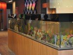 Aquarium und Art Wall (Foto: Michigan First Credit Union)