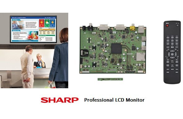 Sharp Player on Board