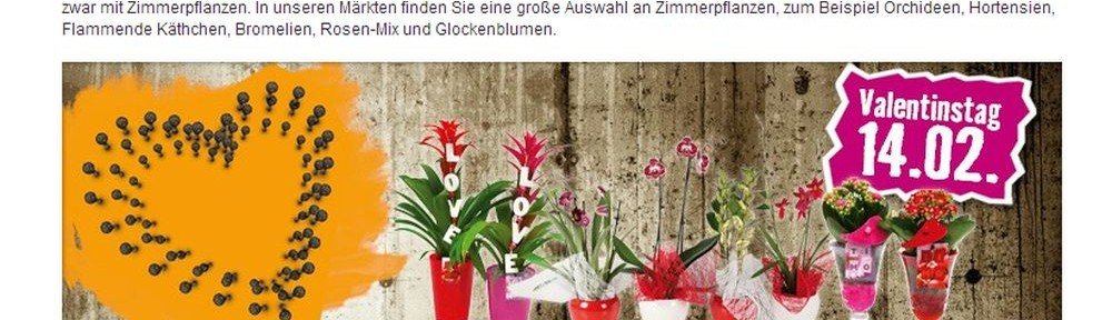 Stein des Anstoßes: valentinstags-Kampagne von Hornbach in DACH (Screenshot: invidis.de)