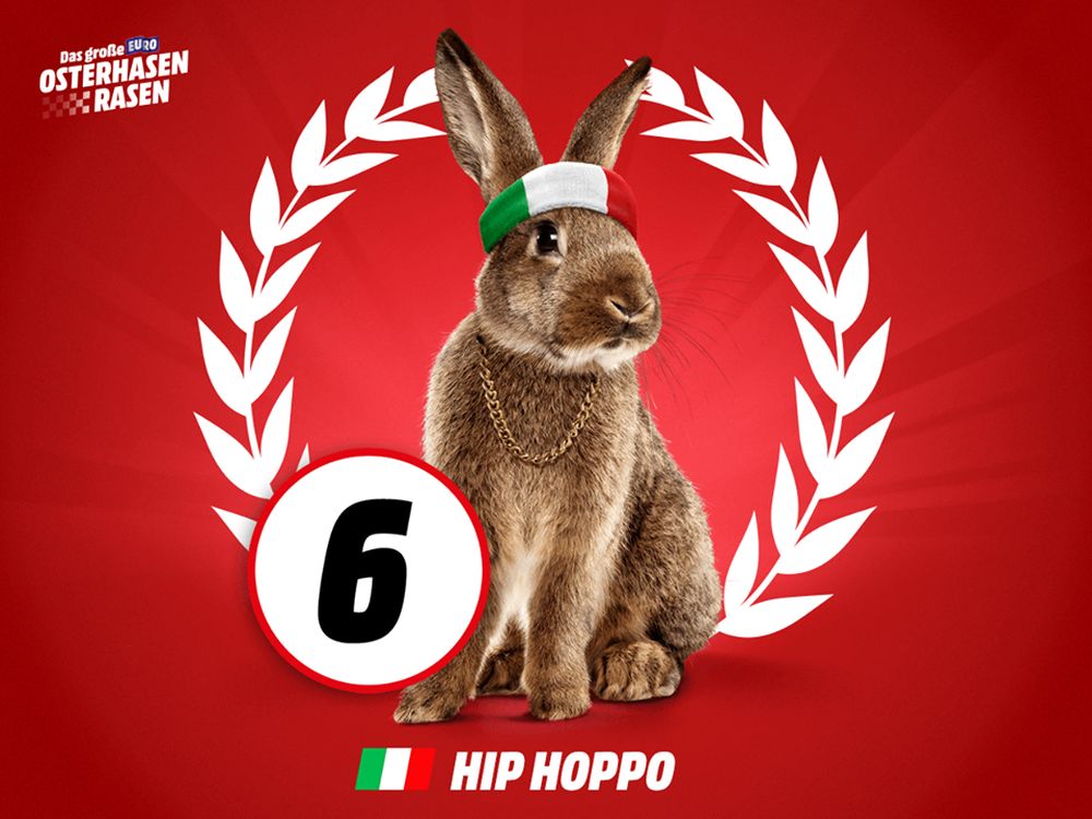 Ging als erster durchs Ziel - italienischer Renn-Hase Hip Hoppo (Foto: Media Markt)
