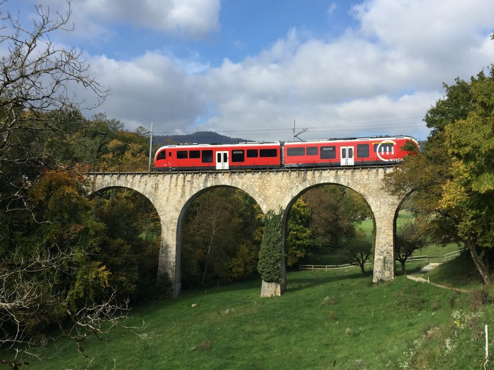Zug der Compagnie du chemin de fer Nyon-Saint-Cerque-Morez im Kanton Waadt (Foto: passengertv)