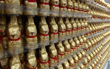 invidis sucht die Goldhasen der Digital Signage Branche (Foto: invidis)