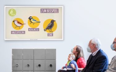 TV-Wartezimmer unterstützt pro Bono die 'Stunde der Gartenvögel', eine jährliche Aktion des Deutschen Naturschutzbundes zur Vogelzählung (Foto: TV-Wartezimmer)