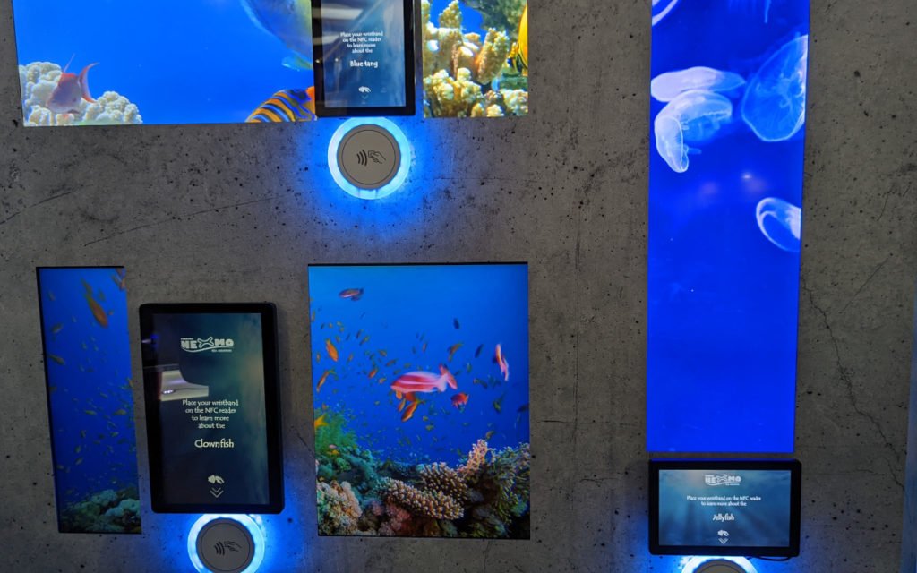 ... und dann an Touchpoints im Aquarium eingesetzt werden kann. (Foto: invidis)
