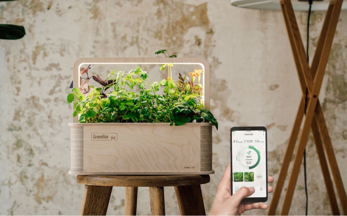 Das Start-up Berlin Green stellt auf der IFA 2022 seine "Greenbox" vor, die Pflanzen mithilfe von Sensoren und LED sprießen lässt. (Foto: BerlinGreen)