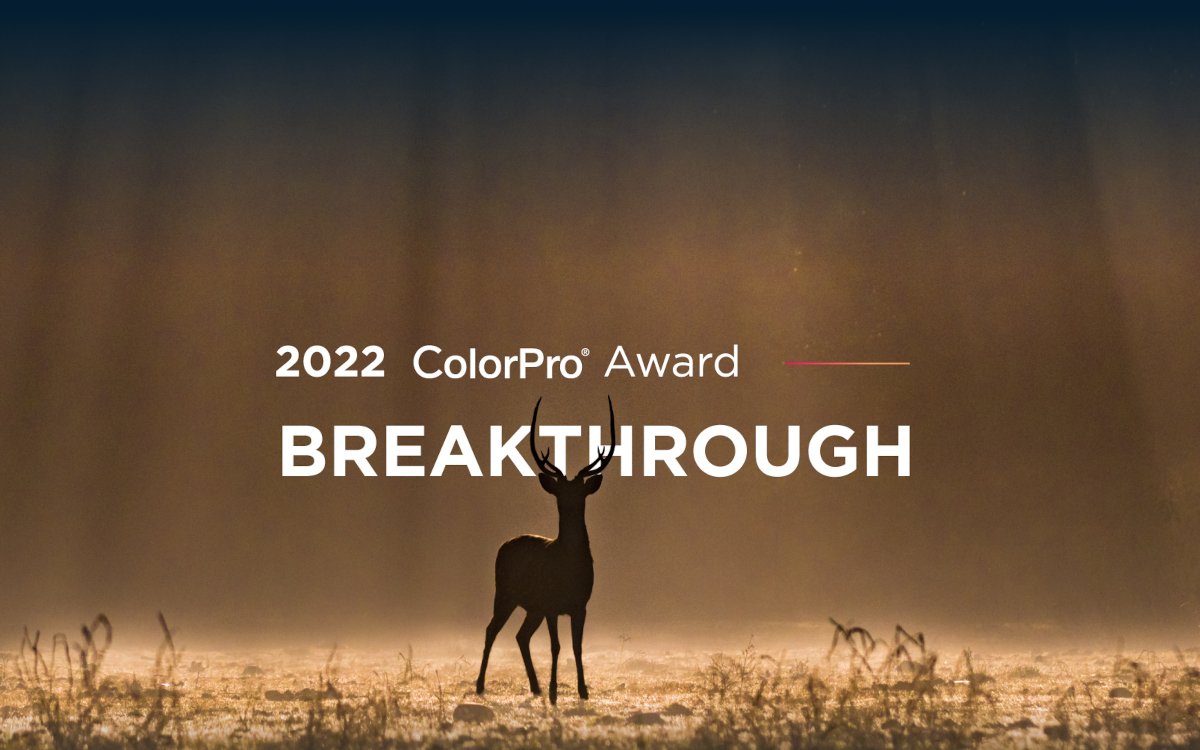 Viewsonic startete den Color Pro Award 2022. (Foto: ViewSonic)
