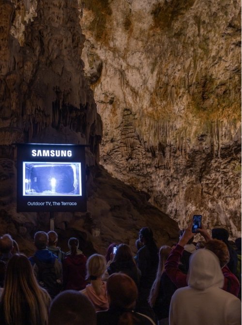 Auf den Samsung-TVs laufen Aufnahmen der Grottenolme. (Foto: Samsung)