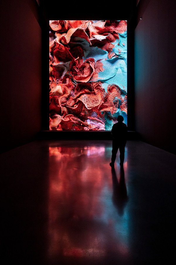 "Machine Hallucinations" von Refik Anadol auf einer LED-Wand im Kunstpalast (Foto: Anne Orthen)