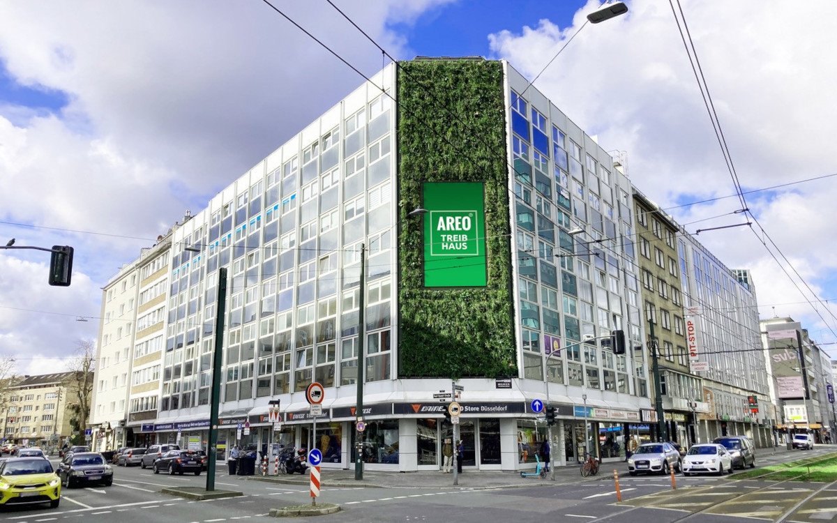 Der Vertical Garden ziert die Fassade des Co-Working-Gebäudes Areo Treibhaus in Düsseldorf (Foto: StroehleinConsult)