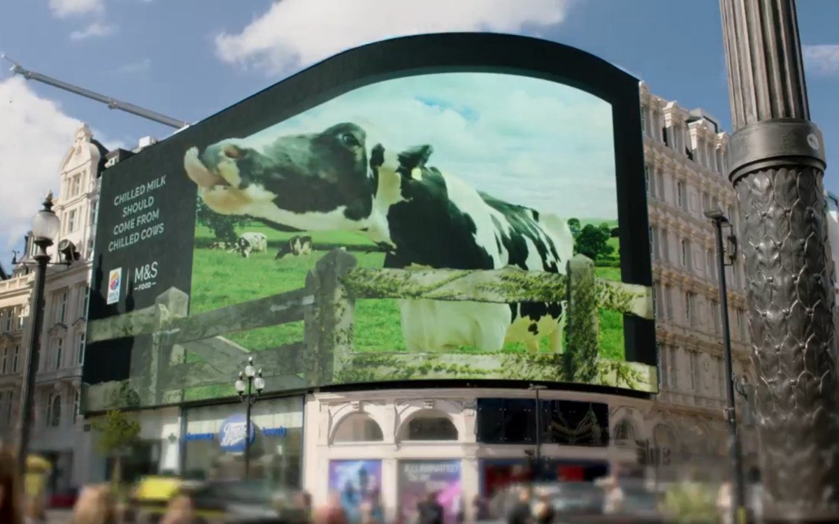 Für diese DooH-Kampagne drehte Marks & Spencer auf einem Bauernhof - die Kuh Daisy lieferte die beste Performance und wurde schließlich Kampagnen-Star. (Foto: Kinetic/Screenshot)