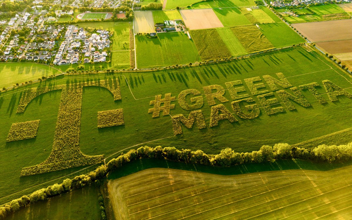 Gerade ist Blütezeit für die Wildblumen, die im Telekom-Logo im Großraum Bonn angepflanzt sind. (Foto: Ulf Preising/ Deutsche Telekom)