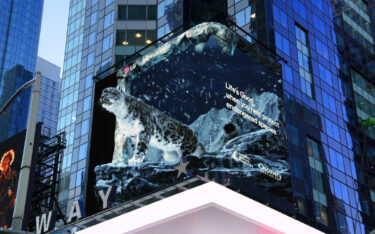 Der Schneeleopard ist der Star dieser Forced-Perspective-Kampagne, die LG gerade auf dem Times Square schaltet. (Foto: LG)