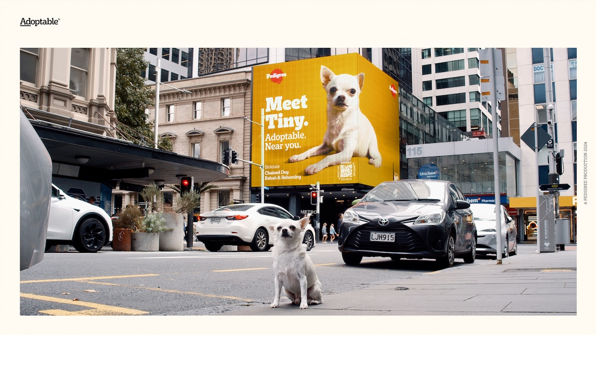 Die Adoptable-Kampagne von Colenso BBDO für Pedigree brachte echte Tierheimhunde auf DooH. (Foto: Colenso BBDO)