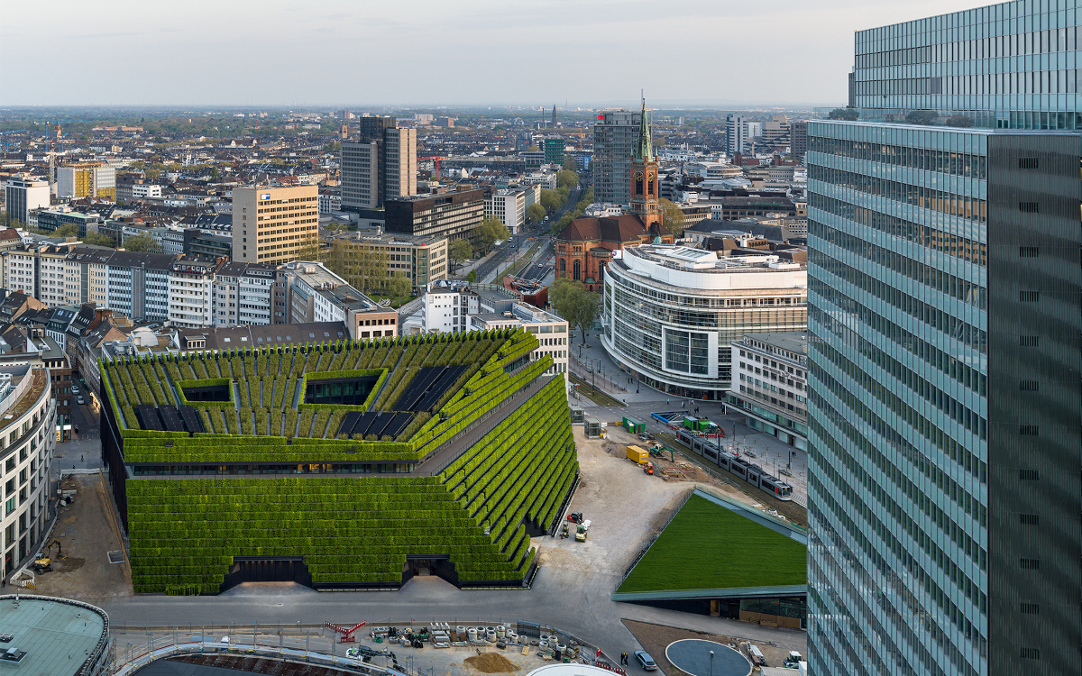 30.000 Pflanzen – Europas größte Grünfassade (Foto: ingenhoven architects/ HGEsch)