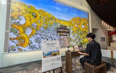 Yamaha Ginza mit Irodori Immersive Experience (Foto: invidis)
