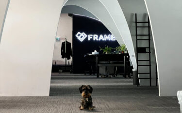 Ferdinand ist einer von Framens sieben Office-Hunden (Foto: Alex Kurze)