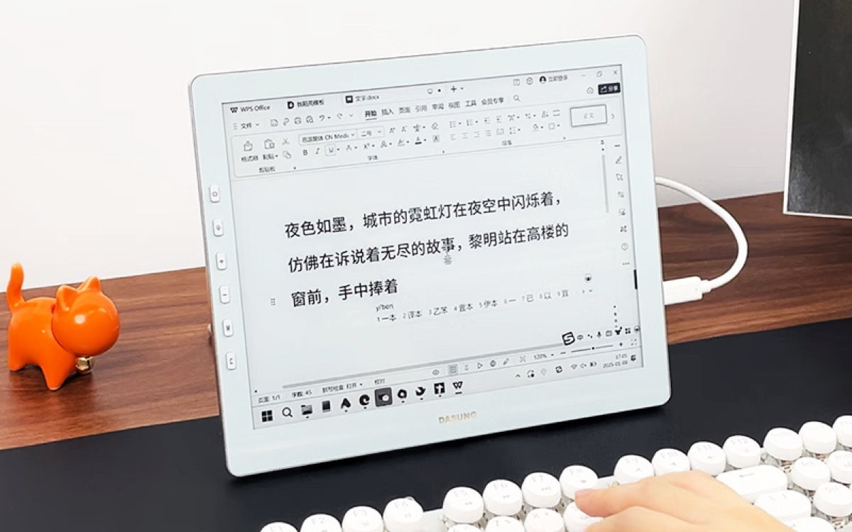 Mit Touch, aber nur in Graustufen - das 60-Hz E-Paper-Panel von Dasung (Foto: Dasung)