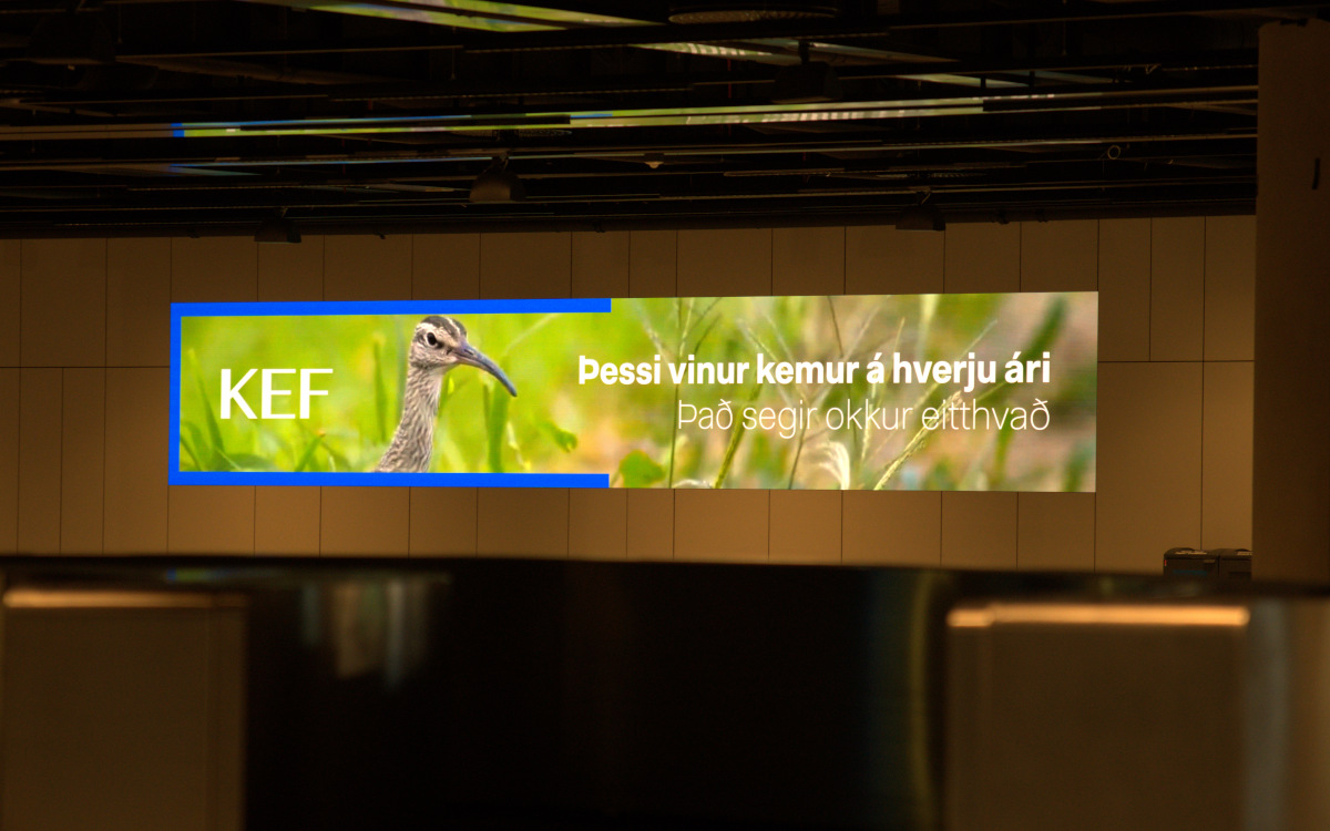 DooH am KEF Airport (Foto: ofar)