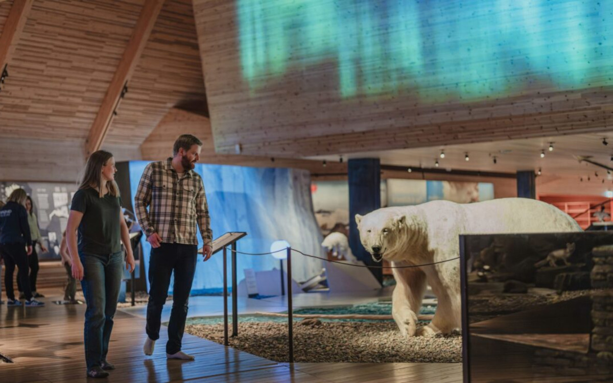 Moderne Museumsaustattung in Longyearbyen (Foto: Ragnhild Utne/Svalbard Museum)