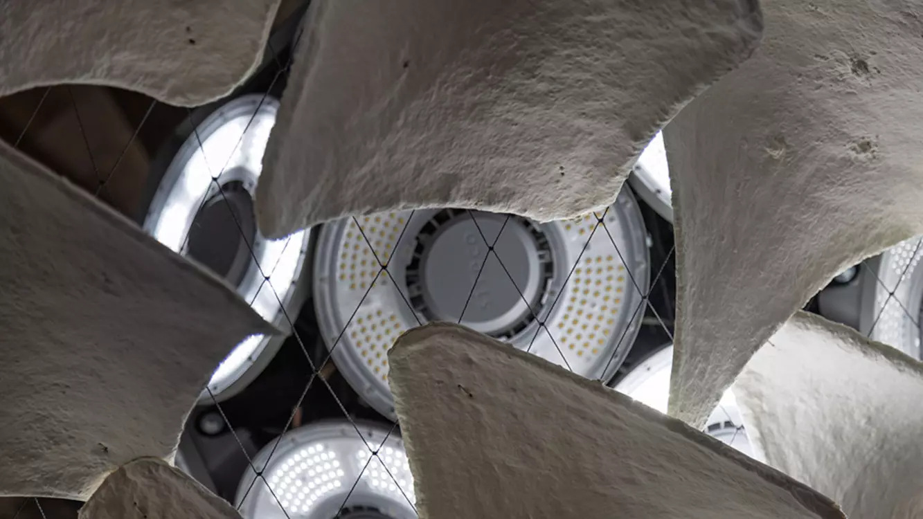 Deggendorf Institute of Technology (Foto: Jacopo La Forgia)