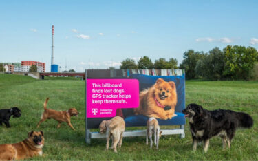 Plakat lockt streunende Hunde (Foto: Hrvatski Telekom)