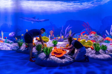 Die "Curiosity Cove" wird mit Projektoren, Screens und Audio zum immersiven Lernerlebnis. (Foto: Moment Factory)