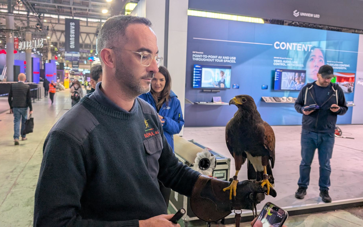 Falke auf der ISE (Foto: invidis)