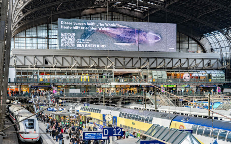 Spendenaktion auf The Whale (Foto: The Ranch)