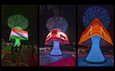 Skycom Social Tree in Delhi (Foto: invidis)