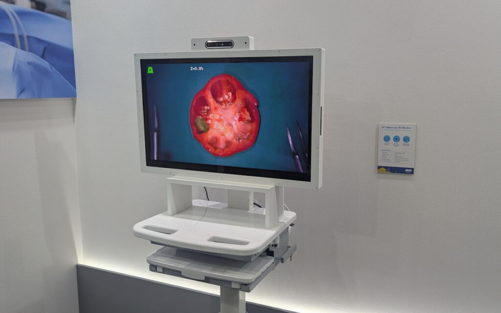 3D-Display für medizinische Anwendungen (Foto: invidis)