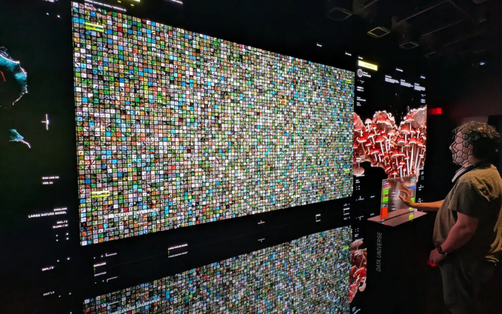Eindrücke aus dem Dataland LA (Foto: invidis)