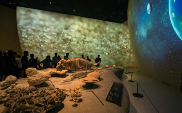 Impressionen aus dem National Museum of Qatar (Foto: Antonio Pagano)