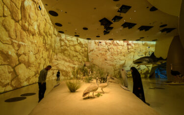 Impressionen aus dem National Museum of Qatar (Foto: Antonio Pagano)