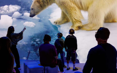 Im Obex Oberhausen simulieren aktive Kühlung und Videomapping auf sechs Meter hohen Wänden die Polarregionen. (Foto: Christoph Buckstegen)