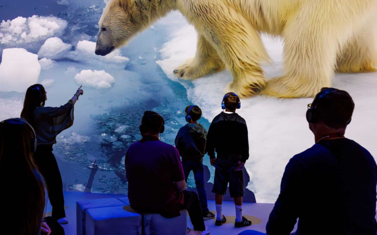 Im Obex Oberhausen simulieren aktive Kühlung und Videomapping auf sechs Meter hohen Wänden die Polarregionen. (Foto: Christoph Buckstegen)
