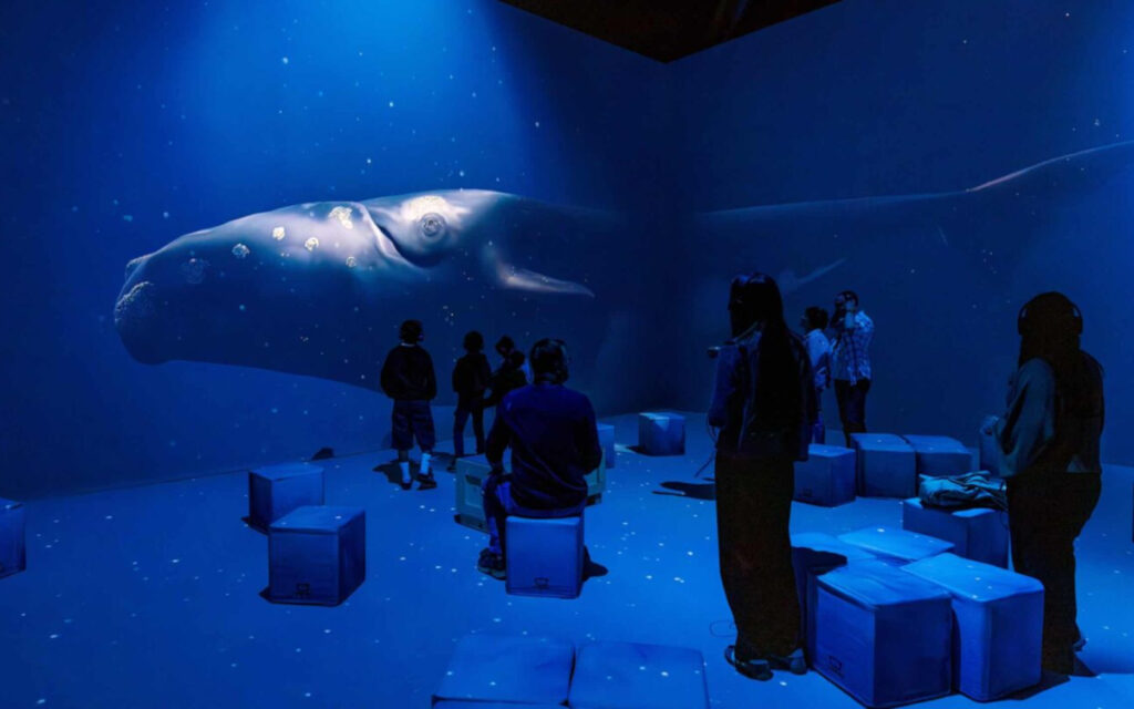 Im Videomapping-Raum der Polar Experience zeigen 360-Grad-Projektionen die Arktis und Antarktis auf bis zu sechs Meter hohen Wänden. (Foto: Christoph Buckstegen)