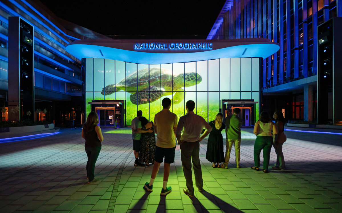 Projektionen, LED-Displays und schaltbares Glas machen den Innenhof des National Geographic Museum of Exploration zur Bühne für Meerestiere. (Foto: Moment Factory)