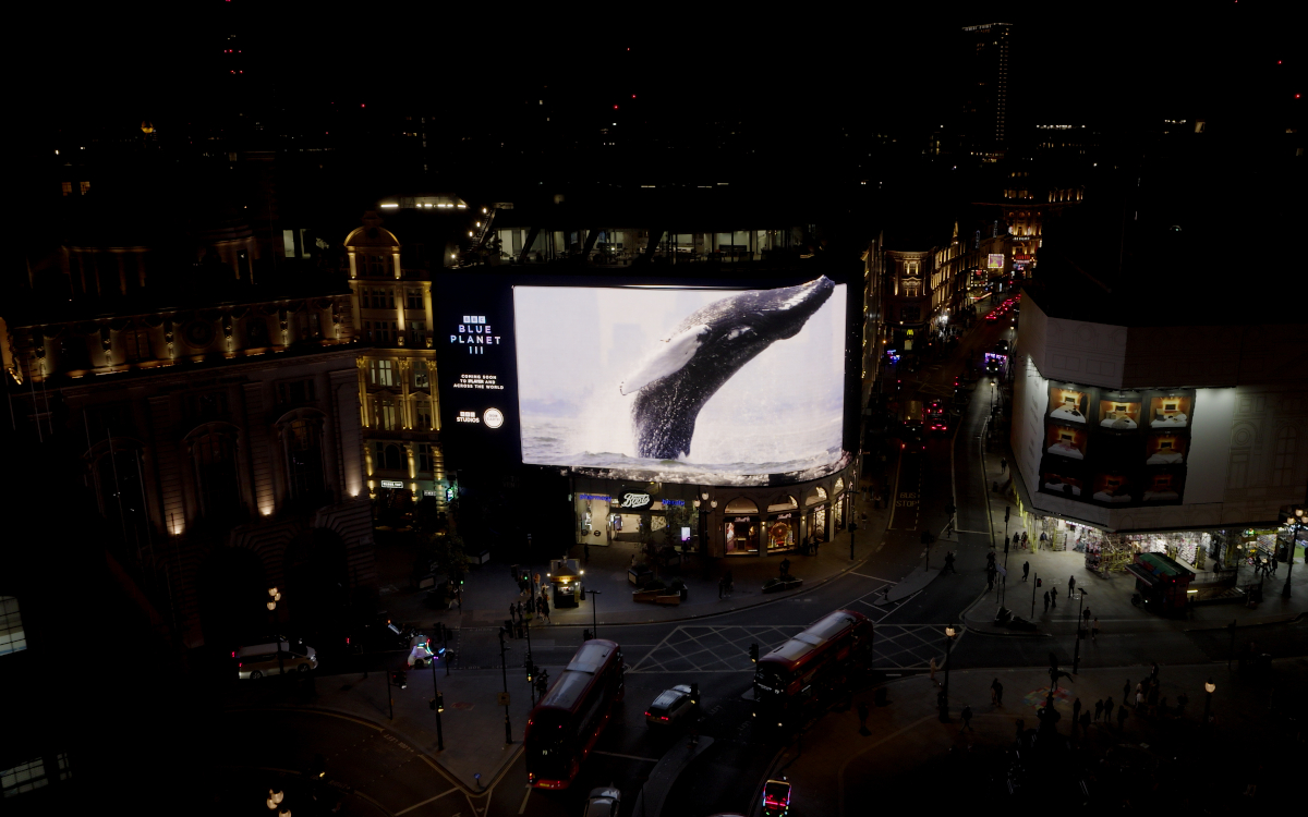 Ein Wal springt über die Fläche der Piccadilly Lights. (Foto: BBC Studios)